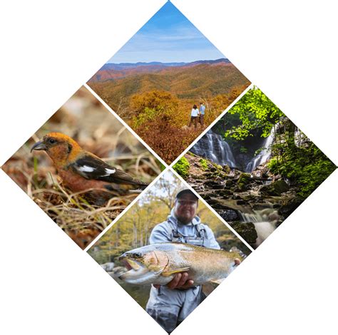 Sequoyah National Golf | Visit Cherokee NC