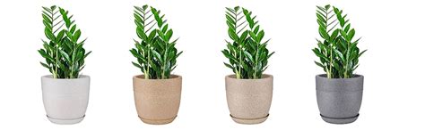 Garden Tales Decorative Plastic Jaguar Marble Look Roto Moulding Cool ...