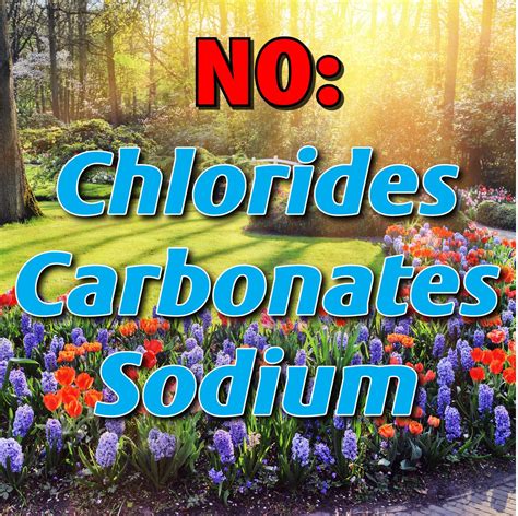 Buy AlgoPlus for Tomato Plants - Perfectly Balanced Liquid Fertilizer ...