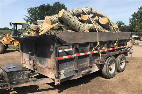 Image result for Yard Waste Disposal