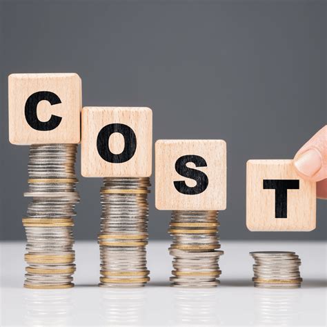 Red Flour Beetle Pest Control Newmarket - Expert Exterminators Near You