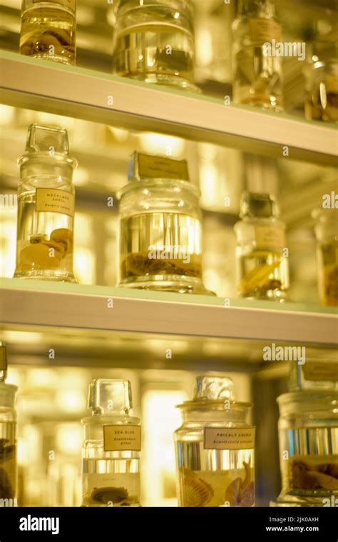 Scientific Container Types 的图像结果