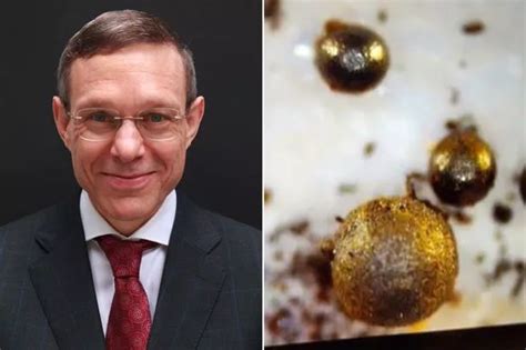 Image result for AlienScientist 911