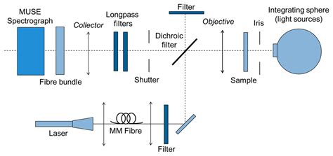 Raman Imaging with a Fiber-Coupled Multichannel Spectrograph