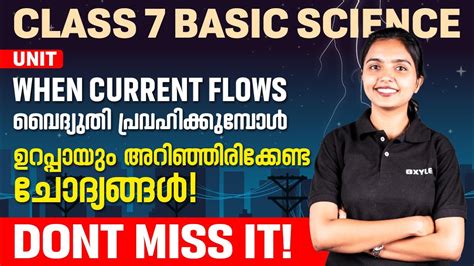 Image result for Xylem Class 7 Basic Science
