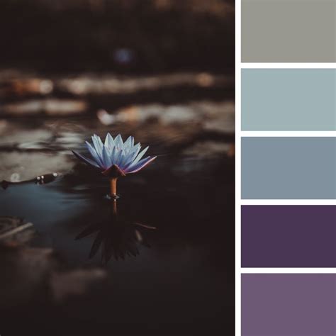 Image result for +Coolors Tutorial