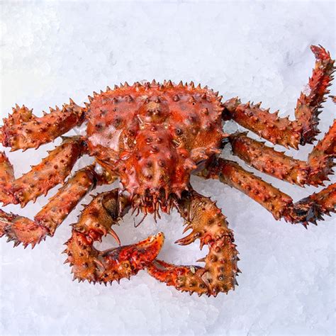 Eating Crab Health Benefits at William Justice blog