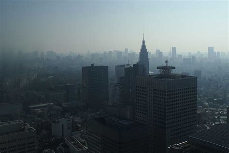 Best Time to Visit Tokyo: Weather By Month & Season