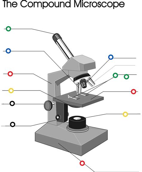Image result for Microscope Lab