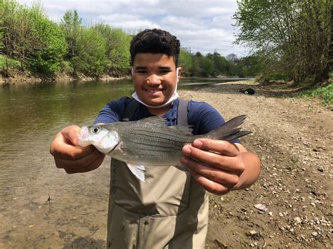 Summer & Informal Education Opportunities — Mill Creek Alliance