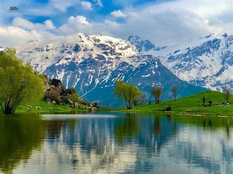 GOMI FELAW (2025) All You Need to Know BEFORE You Go (with Photos ...