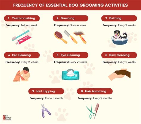 Basic Grooming Tips at Debbie Stevens blog
