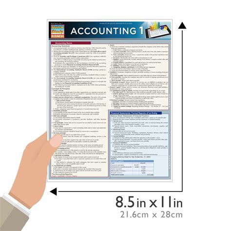 Accounting Study Guide 的图像结果