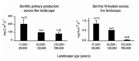 Benthic N 2 fixation and primary productivity on different landscape ...