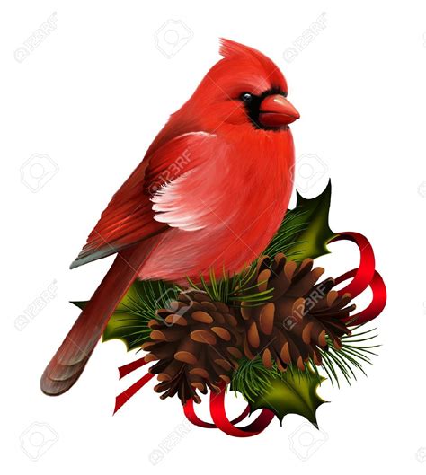 Free Cardinal Clipart Pictures - Clipartix