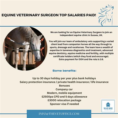 The Vet Office on LinkedIn: 🐴 ** Equine Veterinary Surgeon TOP SALARIES ...