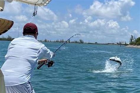 SHADOWCASTER FLATS AND INSHORE FISHING (2026) All You Need to Know ...