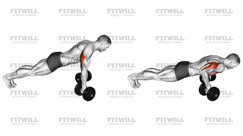 Dumbbell Reverse Push-up: Exercise Guide, Video, Techniques, Benefits ...