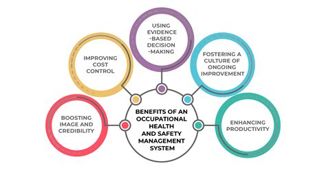 Management System 的图像结果