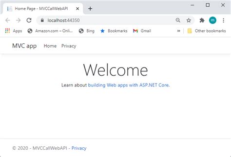 Dot Net Core 9 MVC API 的图像结果