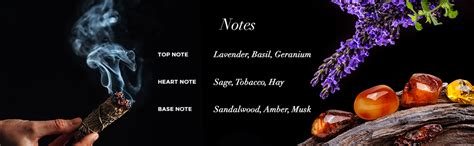 Buy The French Factor Man of The Year Gold - EAU DE PARFUM 100ml ...