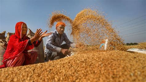 PM Kisan Samman Nidhi Yojana: What is the 19th installment date? How to ...