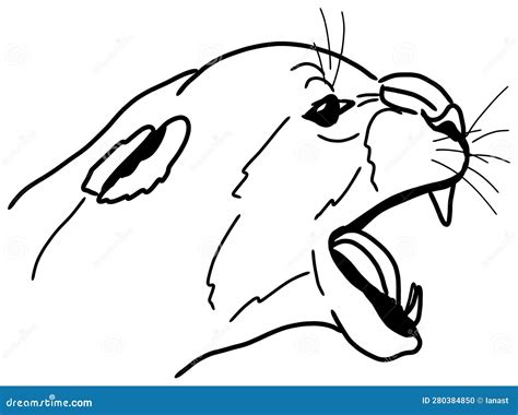 Angry Cougar Or Mountain Lion Hunts Its Prey Stock Image | CartoonDealer.com #287517439