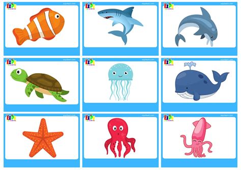 Terrifying Sea Creatures Flash Cards 的图像结果