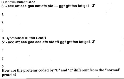 How to List the Complementary Non-Coding DNA Sequence 的图像结果