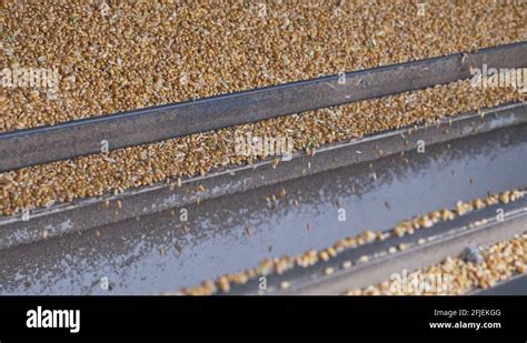 Kernel Process 的图像结果