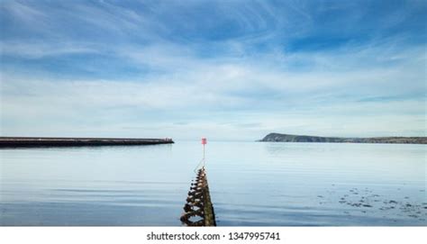 Image result for C Programming Language Backgrounds Remove