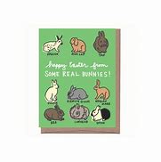 Image result for Real Bunnies