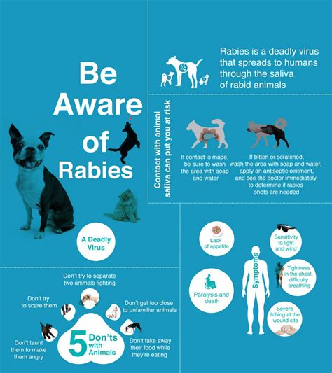 How Long Does It Take To Show Signs Of Rabies In A Dog