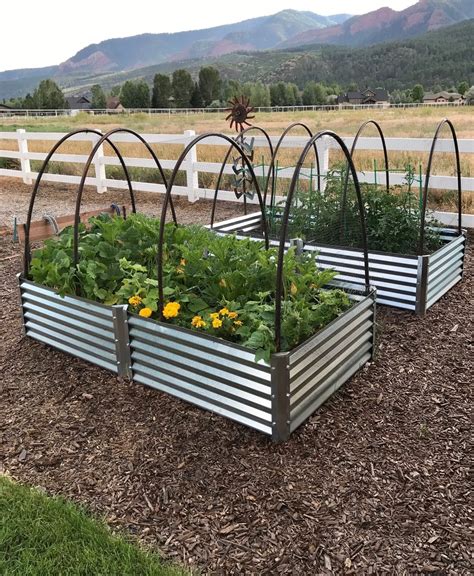 6 Best Metal Raised Garden Beds for Expanding Your Garden - Gardening ...