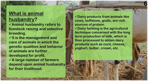 Animal Husbandry 的图像结果