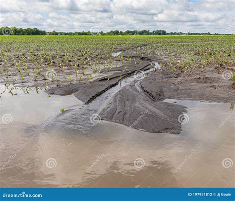 Types Of Soil Conservation