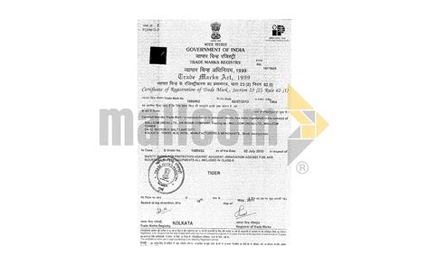 Tiger Lorex Grain Leather with Steel Toe Cap Low Ankle Single Density ...