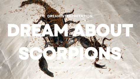 Dream About Scorpions? (Interpretation & Spiritual Meaning)