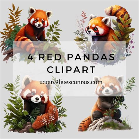 4 Red Pandas Clipart, Red Panda Clipart, Red Panda Bundle PNG, Pack of ...