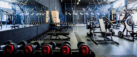 School Gym 的图像结果