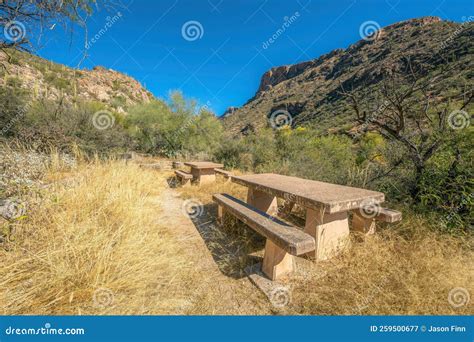 Dining Tables on a Camground with Desert Mountain View at Sabino Canyon ...