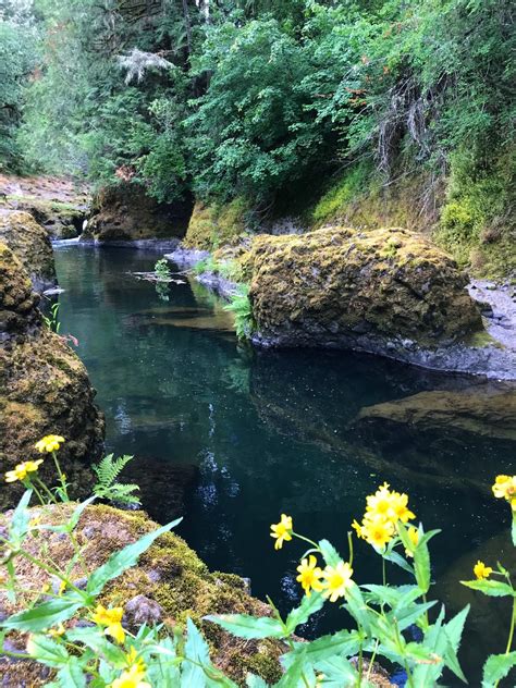 exploring deschutes falls park - Loving Life Moore