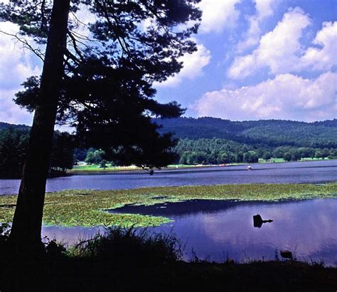 Moncove Lake State Park in Gap Mills | West Virginia
