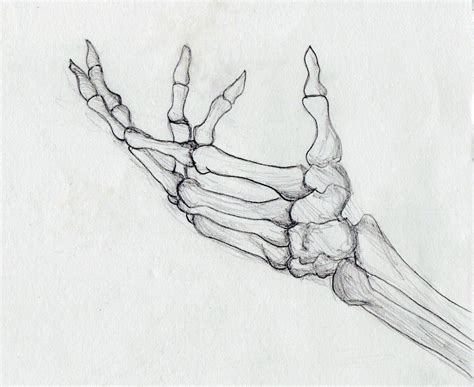 Easy Skeleton Hand Drawing - Easy Drawing for Beginers