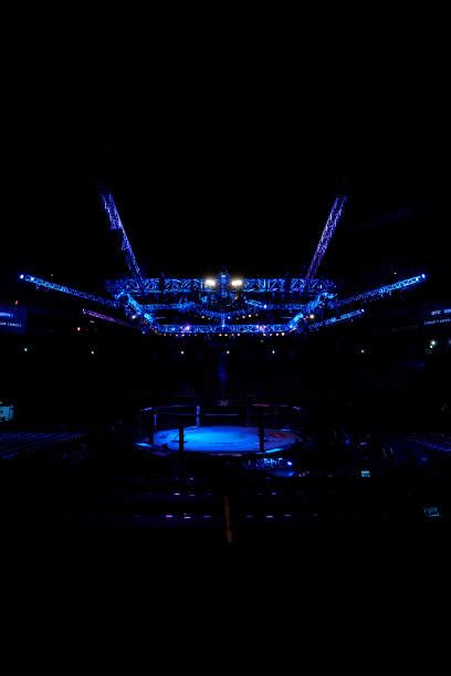 UFC Boxing 的图像结果