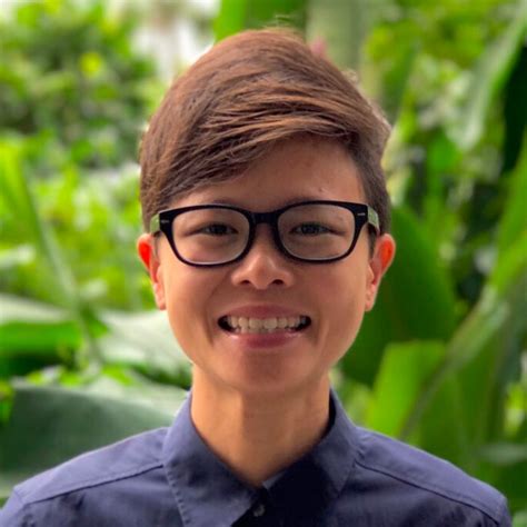 Interoperability Program Structure 的图像结果