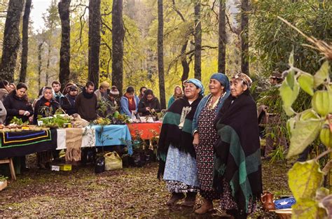 Center for Native Peoples and the Environment: Sustainability Solutions