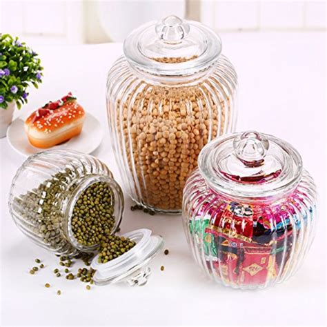 Treo Pot Jar with Glass Lid | Storage Jar | Transparent | 1 Pc – Rasoi Shop
