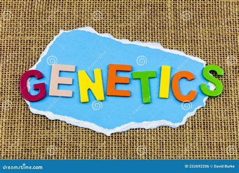 Image result for Cell Division Process