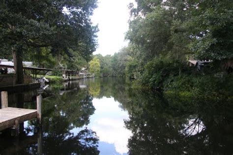 Kayak Karavan (Homosassa) - All You Need to Know BEFORE You Go